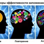 3 фактора эффективности запоминания