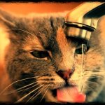 Абстинентный синдром при алкоголизме (ломка): что такое, снятие, в домашних условиях