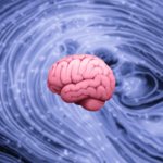 Человеческий разум: существует ли предел знаний?