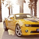 WHAT MOTIVATES PEOPLE TO WORK?