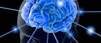 What is absence epilepsy