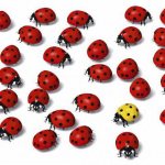 deviant behavior examples