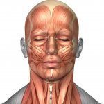 Дыхательная техника саморегуляции организма