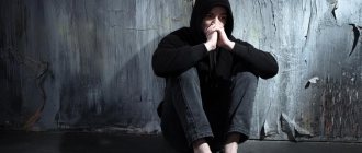 formation of drug addiction