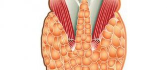 гипотиреоз симптомы и лечение
