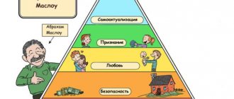 Hierarchy according to Maslow's pyramid