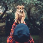 Изменение образа жизни