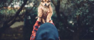 Изменение образа жизни