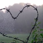 как избавиться от любовной зависимости