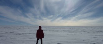 How to avoid going crazy while surviving alone