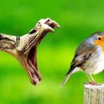 критическая ситуация это