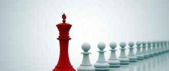 Leader