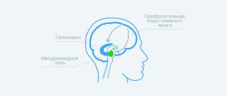 Мозг во время депрессии