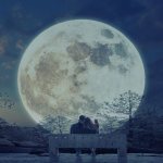 Male zodiac signs who do not take initiative in relationships