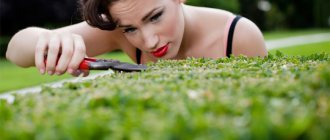 Педантичность - достоинство или недостаток?