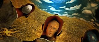 confusion with the presence of true visual hallucinations