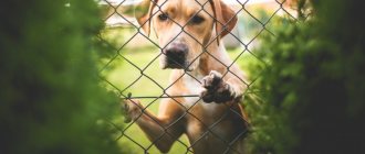 Правила конструктивной критики