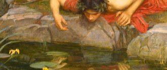 Causes of narcissism