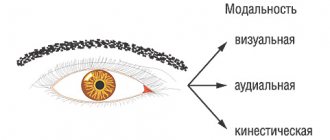 Различные модальности восприятия и передачи информации (сенсорные типы личности)