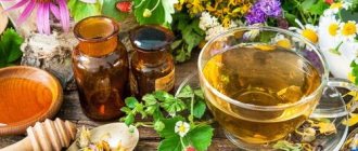 Variety of herbs for tea