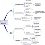 Разновидности психических процессов