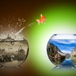 Самореализация