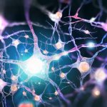 Stereotyping: concept, why and how it arises