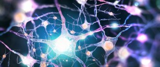 Стереотипизация: понятие, почему и как возникает