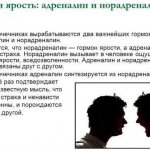 Страх и ярость