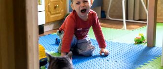 страх перед котами у детей