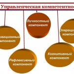 Managerial Competence