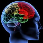 levels of ability development