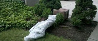 вандализм ст 214 ук рф состав преступления