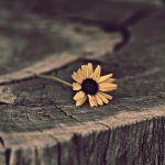 Воспоминания прошлого