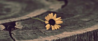 Воспоминания прошлого