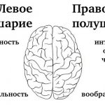 высшие психические функции