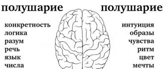 высшие психические функции