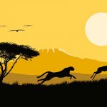 ягуар охотится