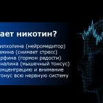 зачем нужен никотин